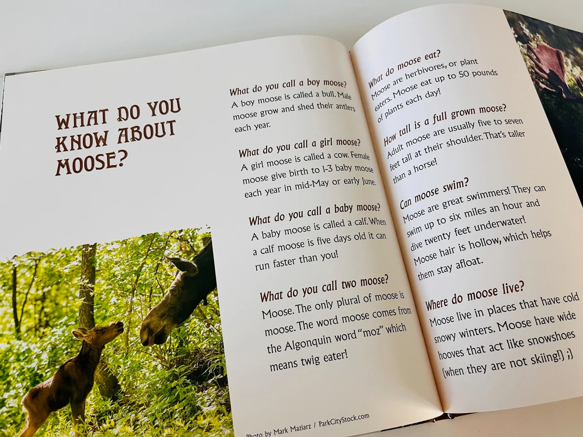 Gilbert the Moose Loses His Antlers - Book - Image 4